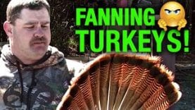 Michael-Pitts-on-Fanning-Turkeys-attachment