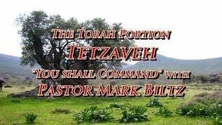 Saturday-February-16-2019-You-shall-command-Tetzaveh-attachment