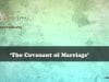 Dr-Tony-Evans-Divorce-and-Remarriage-8216The-Covenant-of-Marriage_fc848f55-attachment