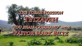 Saturday,  February 16, 2019: You shall command (Tetzaveh)