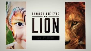 Pastor-Levi-Lusko-Through-the-Eyes-of-a-Lion-Episode-3_9828c4c0-attachment