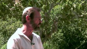 Rabbi K.A. Schneider teaches at Caesarea Philippi Part 2