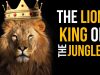 The-Lion-King-of-the-Jungle-David-Rives-attachment