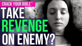 TAKE-REVENGE-Stop-being-a-punching-bag-let-God-do-His-job-attachment