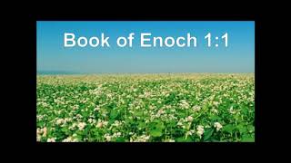 The-Book-of-Enoch-through-the-Lens-of-Canonized-Scripture-wDavid-Carrico-attachment