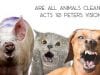 Are-all-animals-okay-to-eat-Clean-vs.-Unclean-Acts-10-peters-vision-attachment