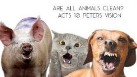 Are-all-animals-okay-to-eat-Clean-vs.-Unclean-Acts-10-peters-vision-attachment
