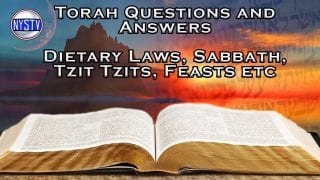 Torah-Question-and-Answer-Dietary-Laws-Sabbath-etc..-w-Jon-and-Jake-attachment